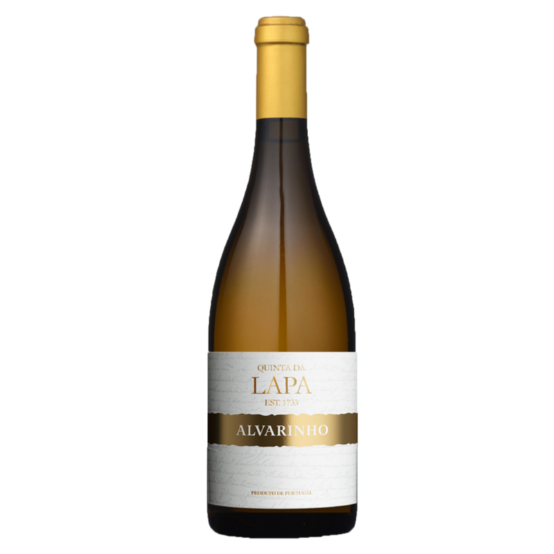 Lorem ipsum dolor sit amet, consectetur adipiscing elit, sed do eiusmod tempor incididunt ut labore et dolore magna aliqua.